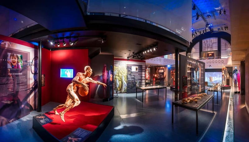 Heidelberg: BODY WORLDS Museum Entry Ticket - How Long to Allow for the Visit