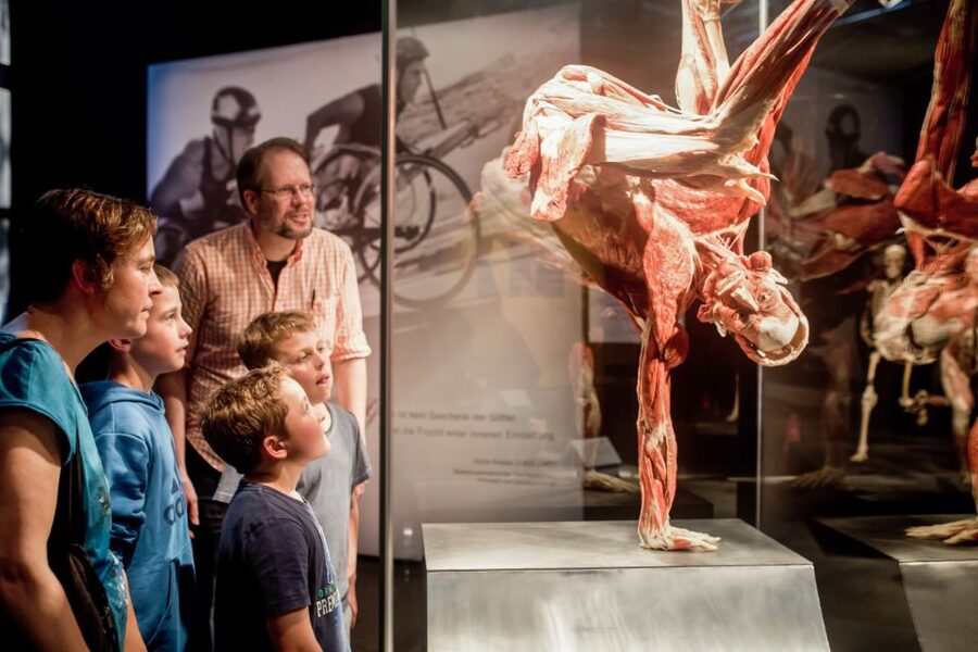 Heidelberg: BODY WORLDS Museum Entry Ticket - Planning a Better Visit