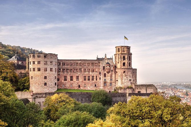 Heidelberg Castle and Old Town Tour from Frankfurt - Heidelberg Castle: one hour above the Neckar
