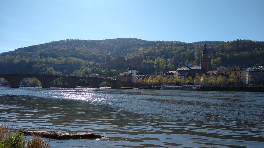 Heidelberg: Guided Bike Tour - Why a bicycle makes sense in Heidelberg