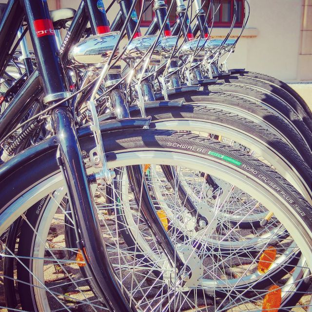 Heidelberg: Guided Bike Tour - Who should book this bike tour?