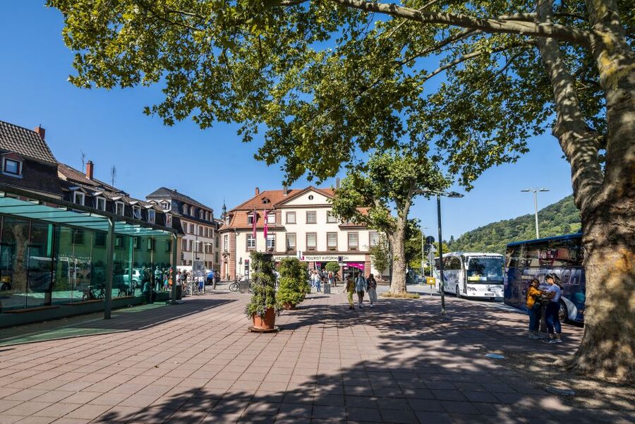 Heidelberg: Sightseeing Bus and Castle Tour - Seeing Heidelberg Castle from the bus