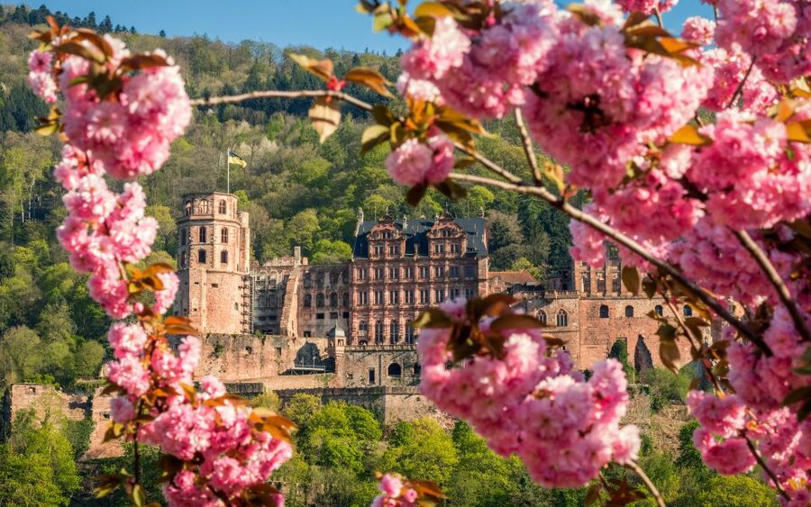 Heidelberg: Sightseeing Bus and Castle Tour - Walking through the castle grounds