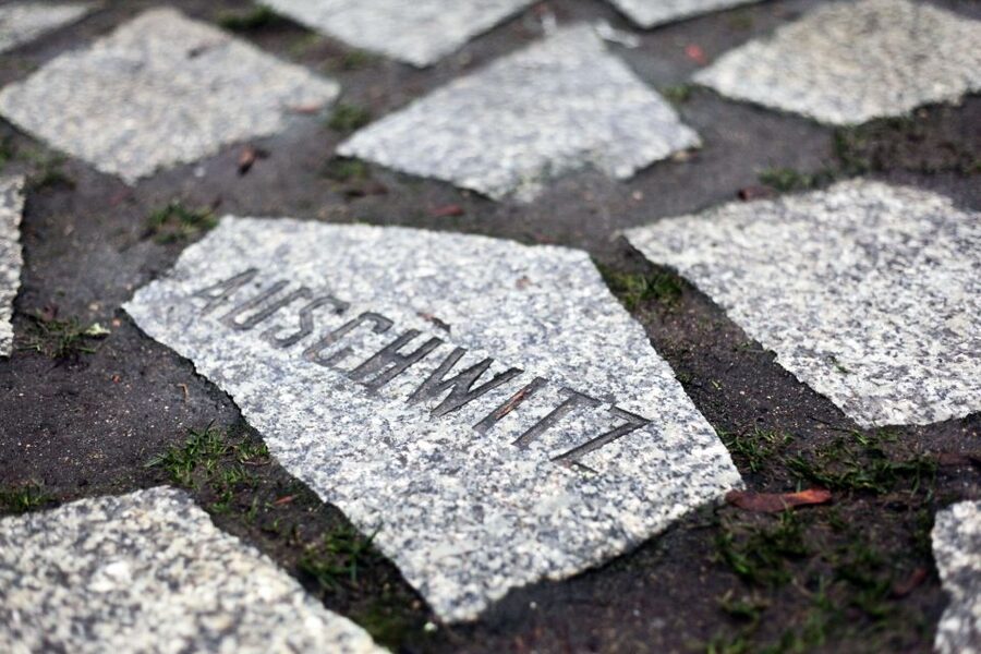 Hitler’s Germany: Berlin During the Third Reich & WWII - The Gestapo, SS, and the Topography of Terror