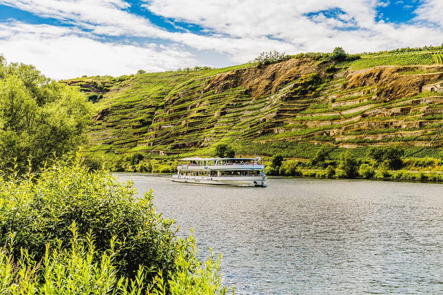 Koblenz: Panoramic Cruise on Moselle River to Winningen - Is $22 a fair price?