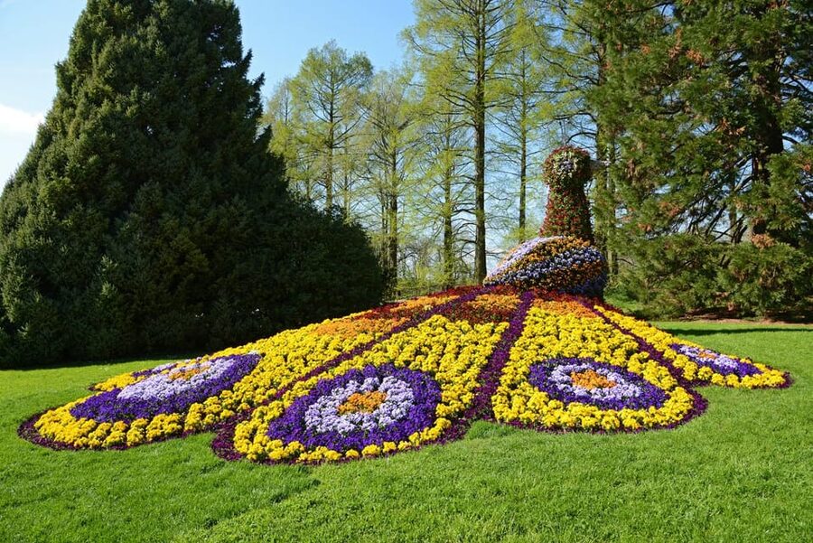 Konstanz: Mainau Island Entry Ticket - Who will enjoy Mainau most?