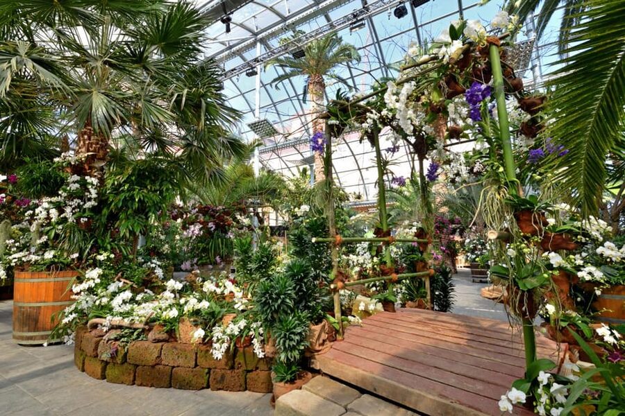 Konstanz: Mainau Island Entry Ticket - Why the island works for families