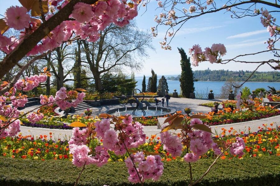 Konstanz: Mainau Island Entry Ticket - What you cannot bring