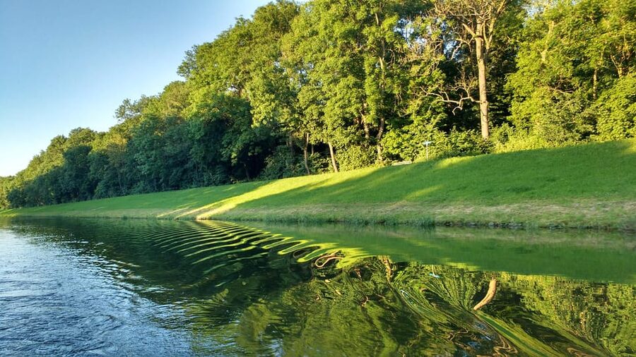 Leipzig: 2-hour Auwald Motorboat Tour - Why Leipzig’s Auwald deserves two hours