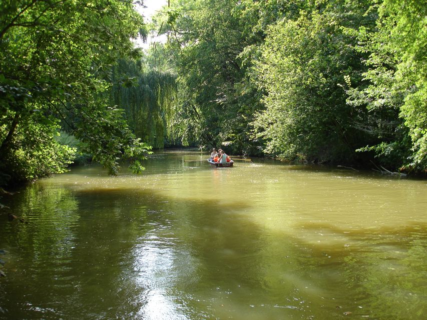 Leipzig: Riverside Forest Tour on the Pleiße - Reading the floodplain forest