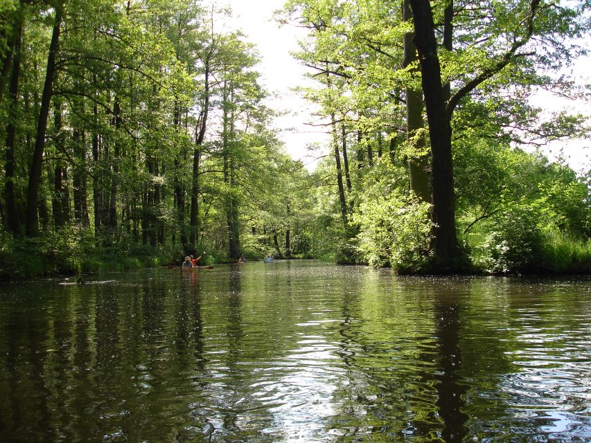 Leipzig: Riverside Forest Tour on the Pleiße - What the 70-minute itinerary feels like
