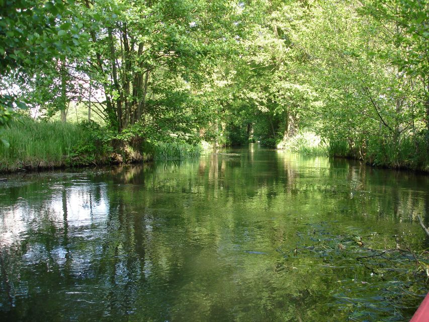 Leipzig: Riverside Forest Tour on the Pleiße - Leaving the city behind on an electric boat