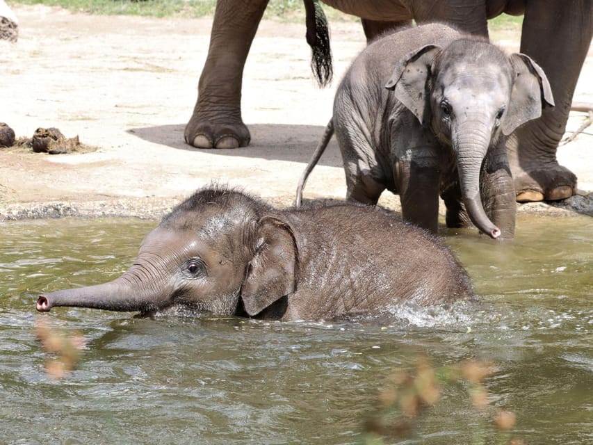 Leipzig Zoo: Entry Ticket - Who will get the most from Leipzig Zoo?