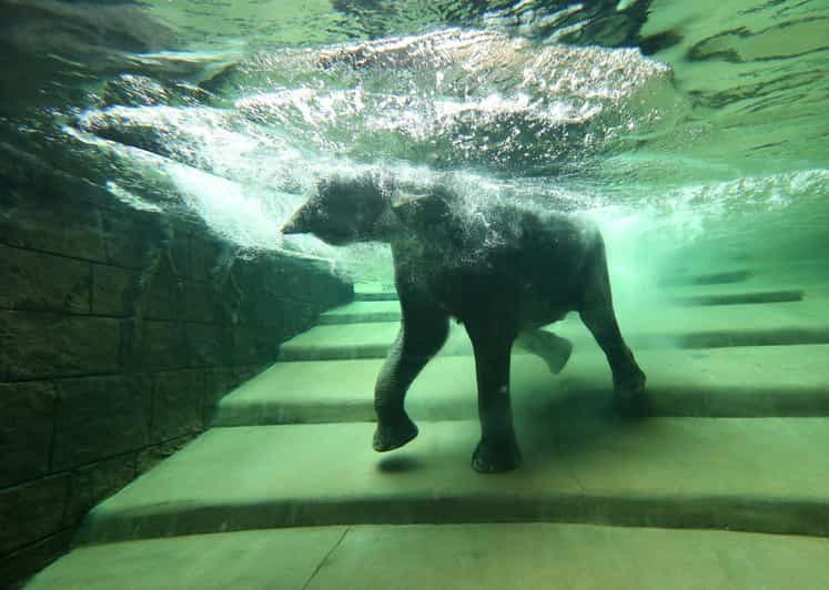 Leipzig Zoo: Entry Ticket - Why Gondwanaland deserves your first look