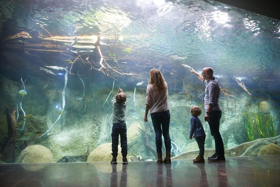 Leipzig Zoo: Entry Ticket - Six worlds, 850 species, and a conservation focus