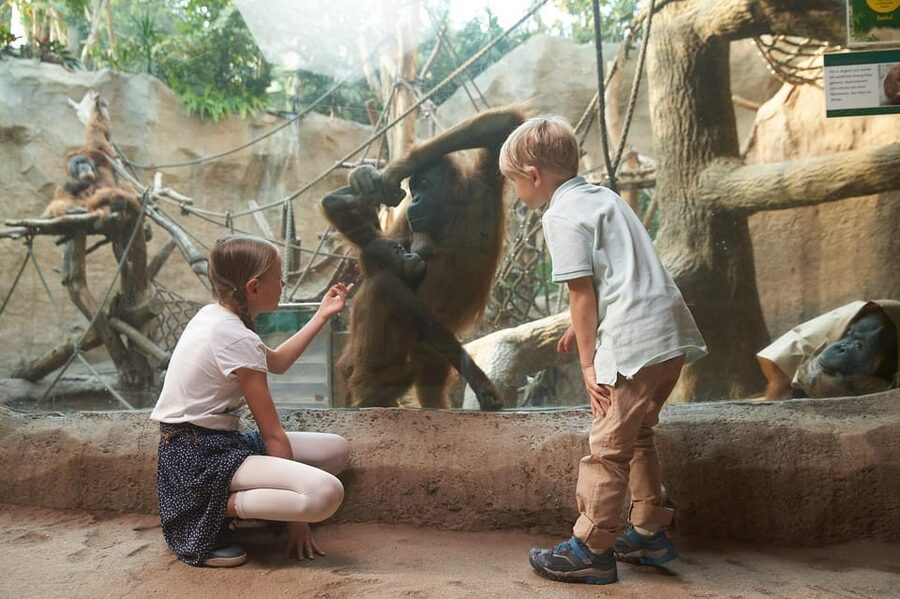 Leipzig Zoo: Entry Ticket - Is $22 a fair price for a one-day ticket?
