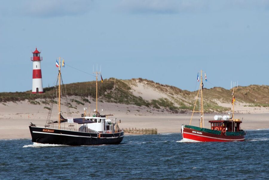 List/Sylt: Guided Seal-Watching Cruise on a Rustic Boat - Leaving Lister Hafen for the Wadden Sea