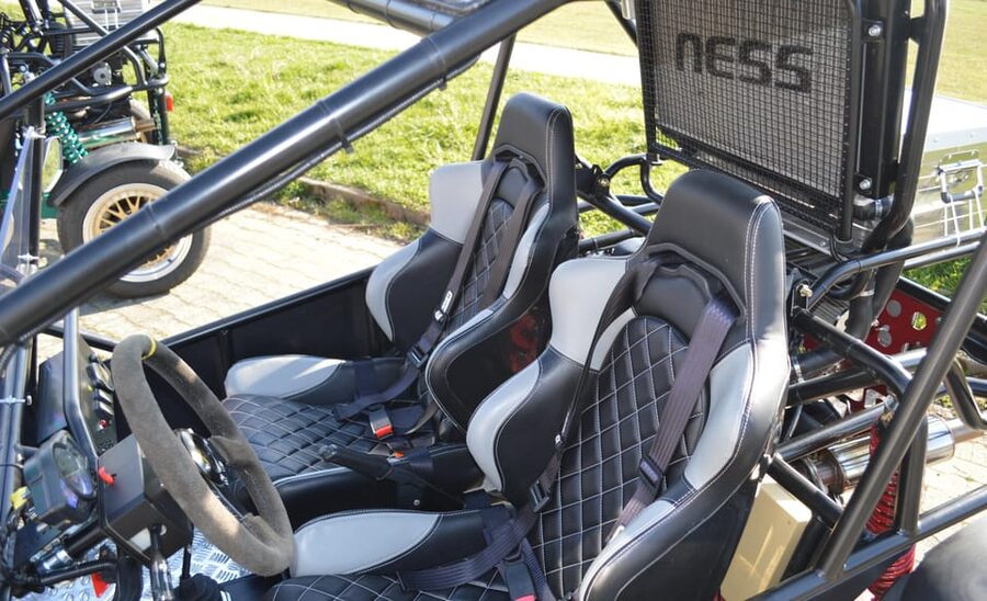 Meersburg: Buggy Rental at Lake Constance - Exploring Lake Constance from a low seat