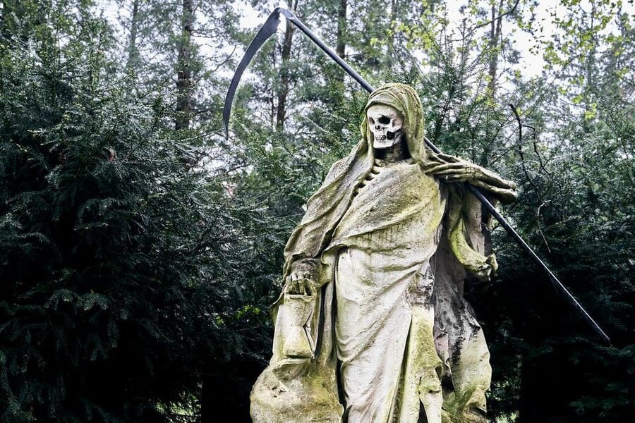 Melaten Friedhof: Guided tour with all senses - The opening story: Napoleon and the reason Melaten was built here