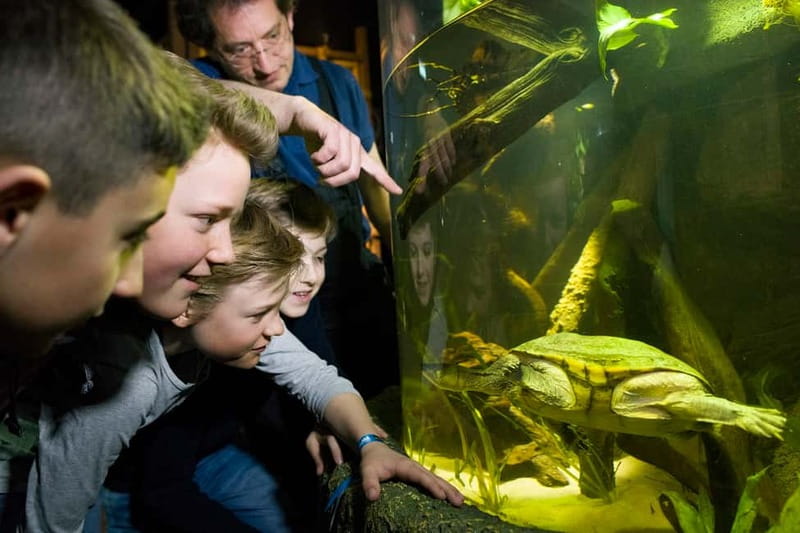 Munich: Day Ticket to Sea Life - From the Isar River to a tropical ocean