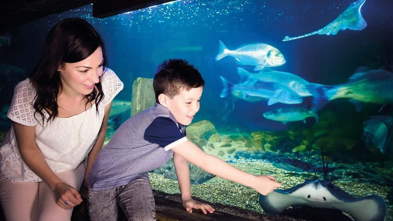 Munich: Day Ticket to Sea Life - Feeding talks add useful context