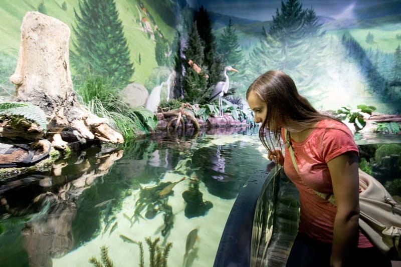 Munich: Day Ticket to Sea Life - The Animal Crossing event, May 12 to June 29