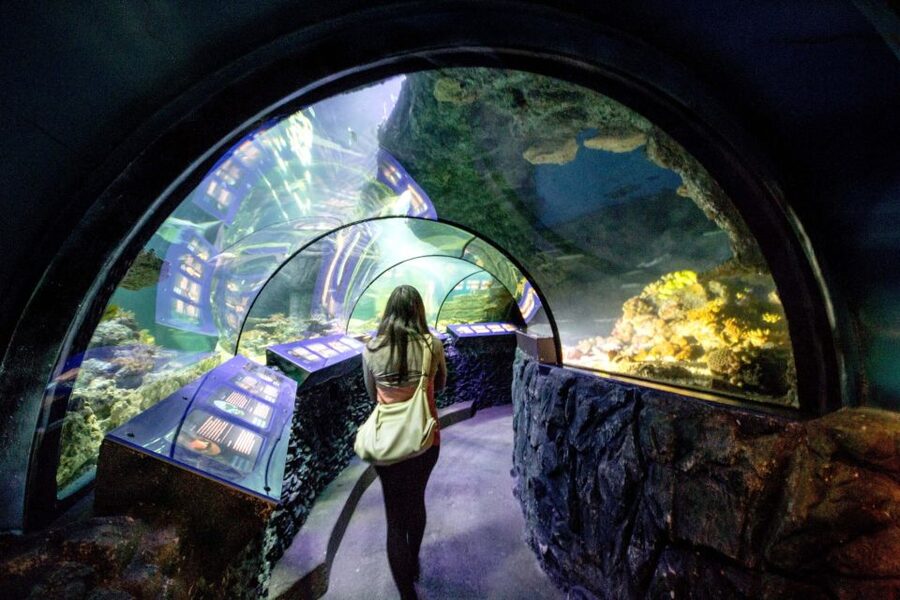 Munich: Day Ticket to Sea Life - How much time should you allow?