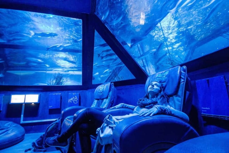 Munich: Day Ticket to Sea Life - Is the $25 ticket good value?