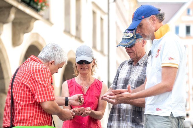 Munich: Old Town Walking Tour - The English Garden and Munich’s famous surfers