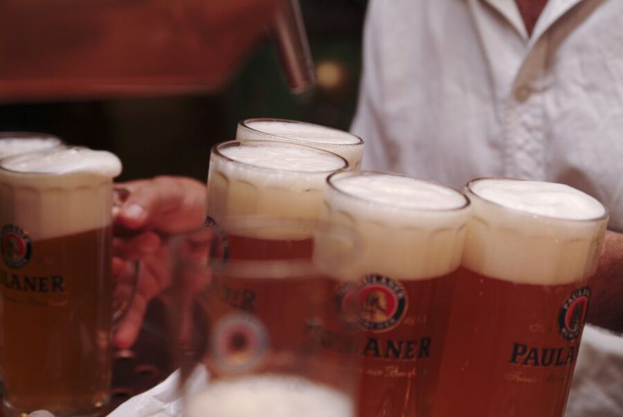 Munich's Beer Halls and Breweries: 3-Hour Guided Tour - Who should book this Munich beer tour