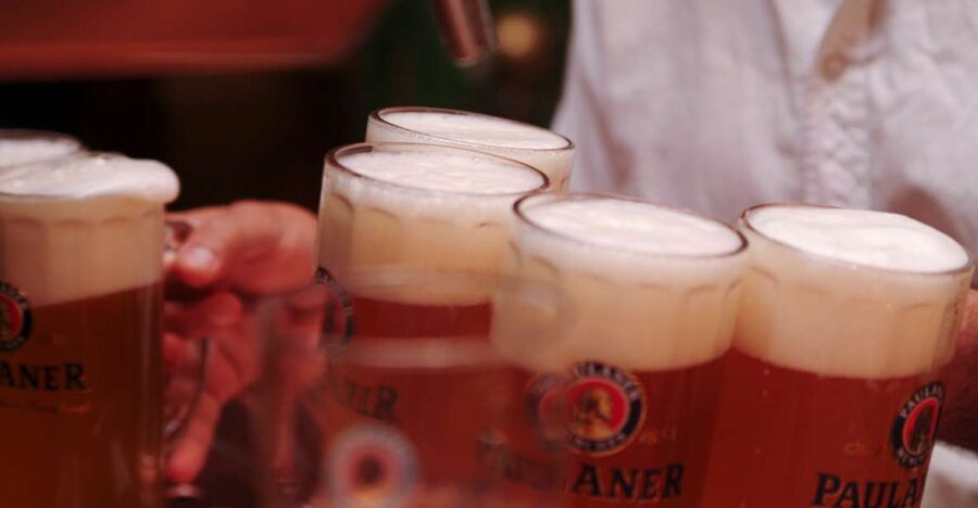 Munich's Beer Halls and Breweries: 3-Hour Guided Tour - Meeting at Marienplatz and getting oriented