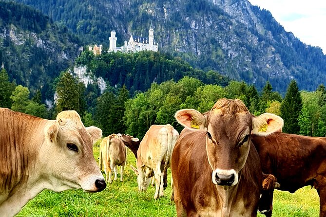 Neuschwanstein Castle Tour with Skip the Line from Hohenschwangau - Inside the castle, expect an audio-guided group visit