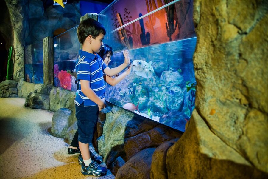 Oberhausen: LEGOLAND Discovery Centre and SEA LIFE Ticket - A LEGO factory, a small souvenir, and a 4D film