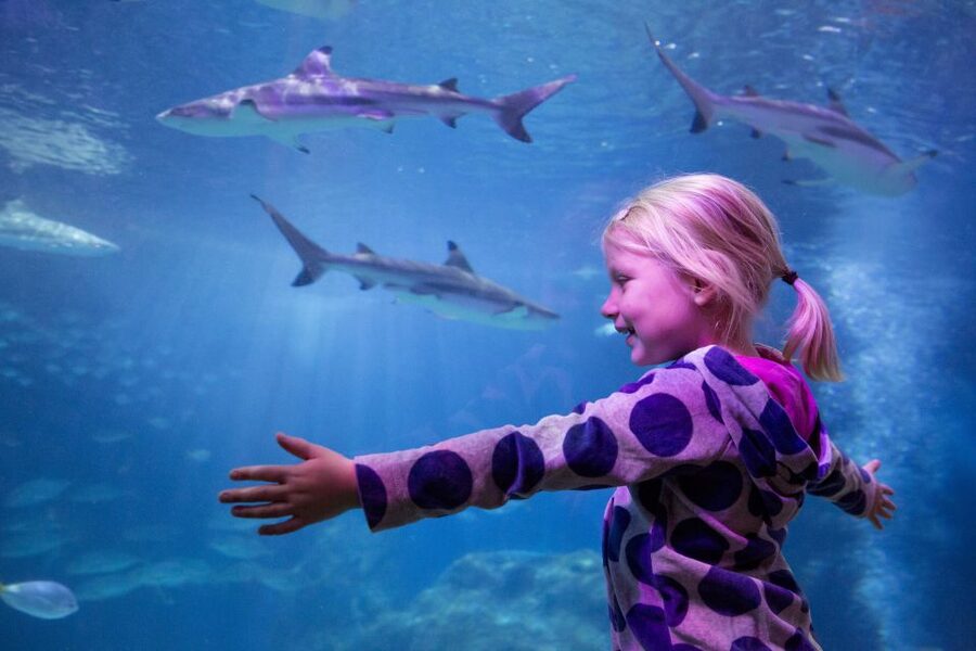 Oberhausen: LEGOLAND Discovery Centre and SEA LIFE Ticket - Walking to SEA LIFE Oberhausen