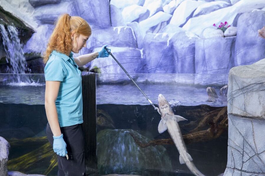 Oberhausen: LEGOLAND Discovery Centre and SEA LIFE Ticket - From the River Rhine to the Amazon
