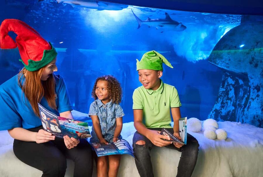 Oberhausen: SEA LIFE Oberhausen Entry Ticket - Meet the otters and smaller sea life