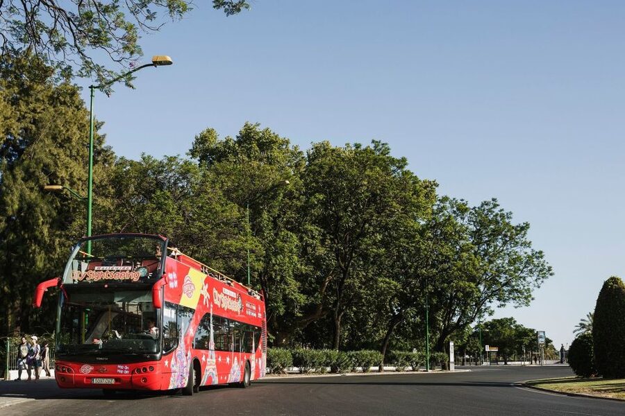 Potsdam: City Sightseeing Hop-On Hop-Off Bus Tour - Key points to know before boarding