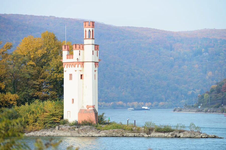 Rhine Valley Castles: 1.5-Hour Boat Tour from Rüdesheim - Is $19 good value?