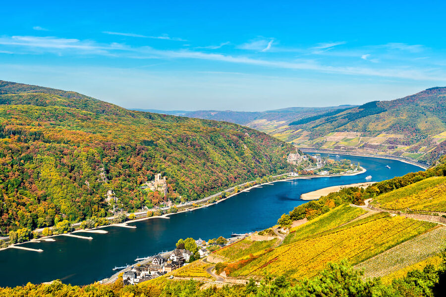 Rhine Valley Castles: 1.5-Hour Boat Tour from Rüdesheim - Leaving Rüdesheim and entering Rhine Romanticism