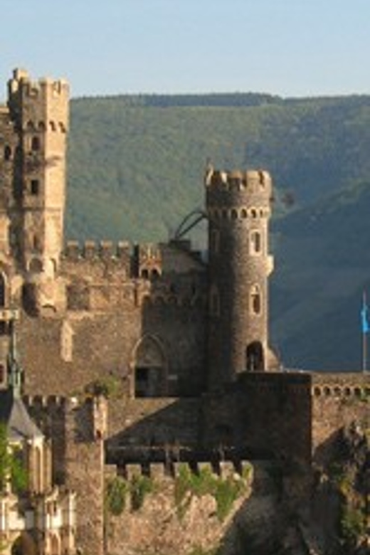 Rhine Valley Castles: 1.5-Hour Boat Tour from Rüdesheim - Ehrenfels ruins, the Mouse Tower, and the Binger Loch