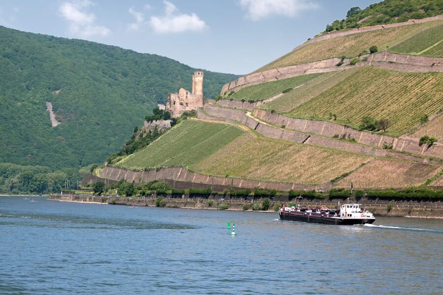 Rhine Valley Castles: 1.5-Hour Boat Tour from Rüdesheim - Bingen, Klopp Castle, and the river towns