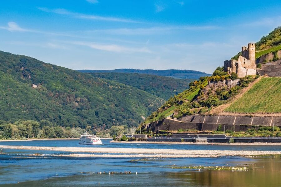 Rhine Valley Castles: 1.5-Hour Boat Tour from Rüdesheim - Niederwald Monument and the hills above Rüdesheim