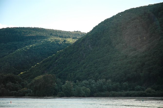 Rhine Valley Trip from Frankfurt including Rhine River Cruise - The Rhine steamer cruise and its castle views