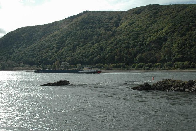 Rhine Valley Trip from Frankfurt including Rhine River Cruise - What the $167 price really covers