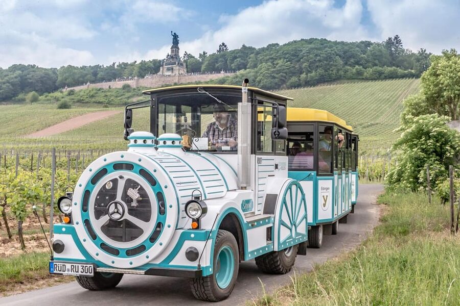 Rüdesheim sightseeing tour with the Winzerexpress - Key points at a glance