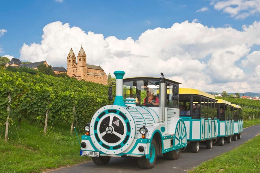 Rüdesheim sightseeing tour with the Winzerexpress - Timing, cancellation, and booking flexibility