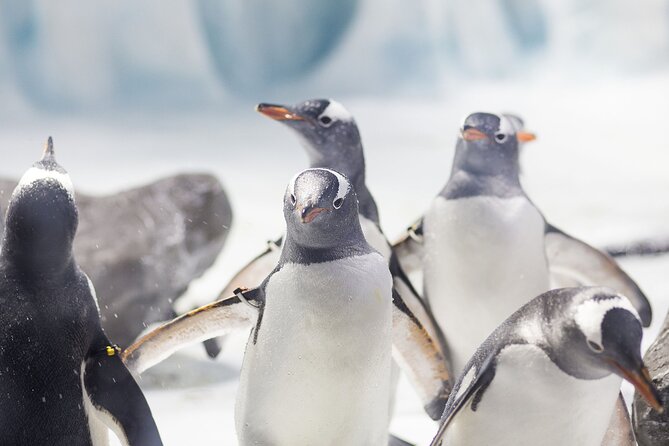 SEA LIFE Konstanz Admission Ticket - Following the water from Lake Constance to Antarctica