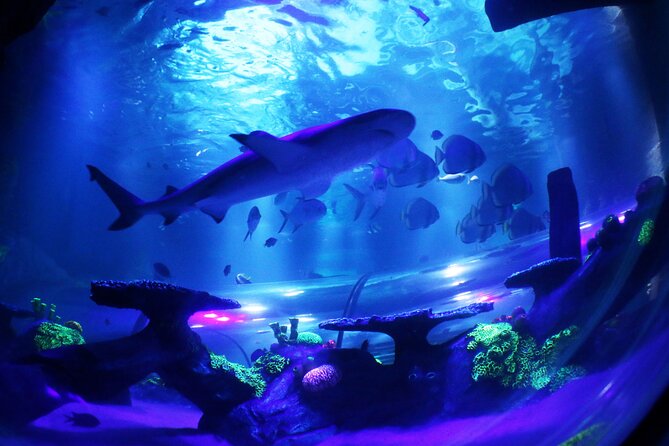 SEA LIFE Konstanz Admission Ticket - The Lake Constance Museum adds local depth