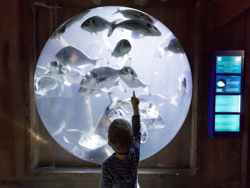 Sea Life Speyer Ticket - Who will enjoy Sea Life Speyer most?