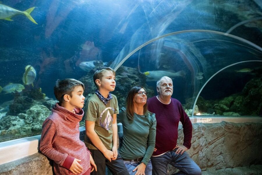 Sea Life Speyer Ticket - Is $22 per person fair value?